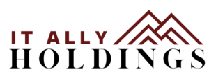 IT Ally Holdings